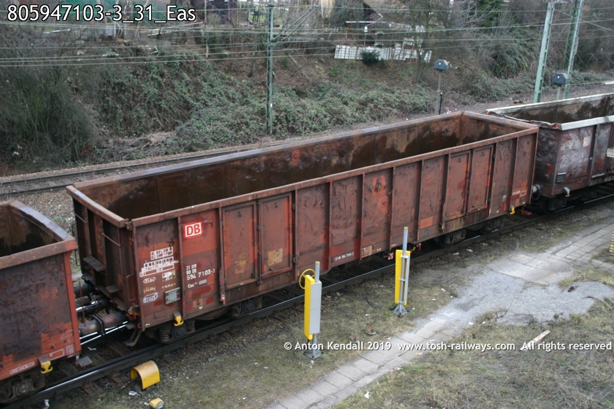 805947103-3_31_Eas.jpg